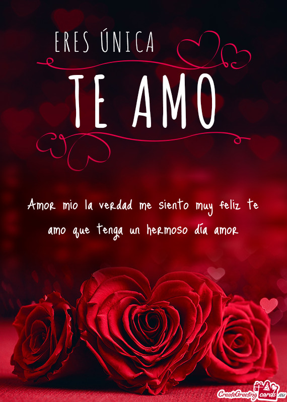 Amor mio la verdad me siento muy feliz te amo que tenga un hermoso día amor