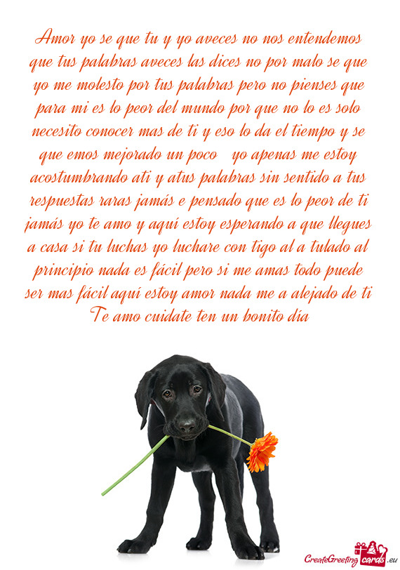 Amor yo se que tu y yo aveces no nos entendemos que tus palabras aveces las dices no por malo se que