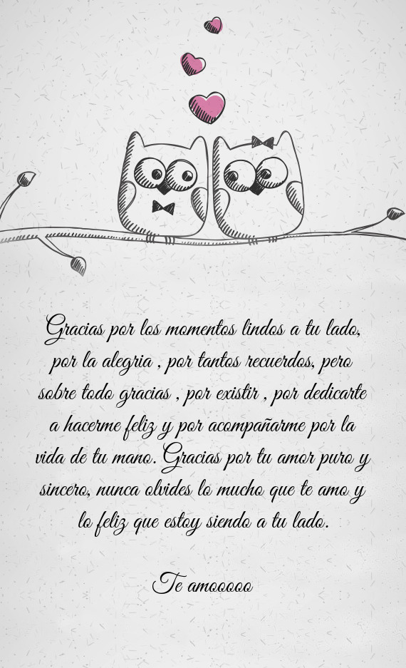 As por tu amor puro y sincero, nunca olvides lo mucho que te amo y lo feliz que estoy siendo a tu la