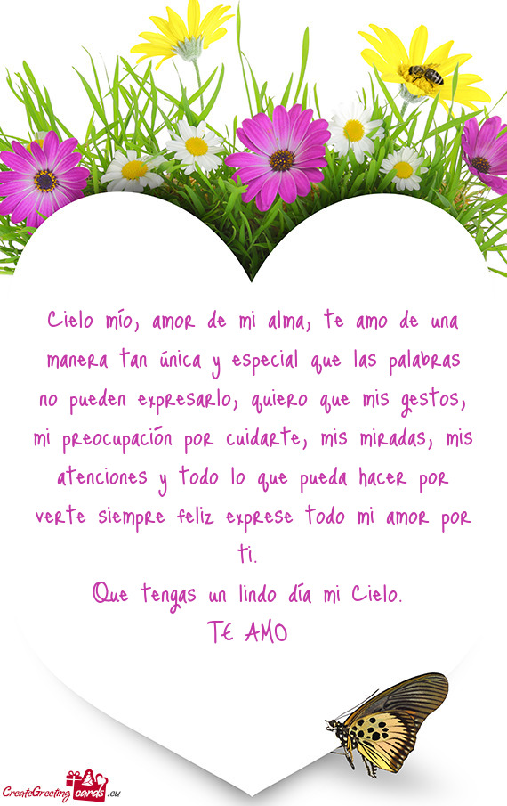 Cielo mío, amor de mi alma, te amo de una manera tan única y especial que las palabras no pueden e
