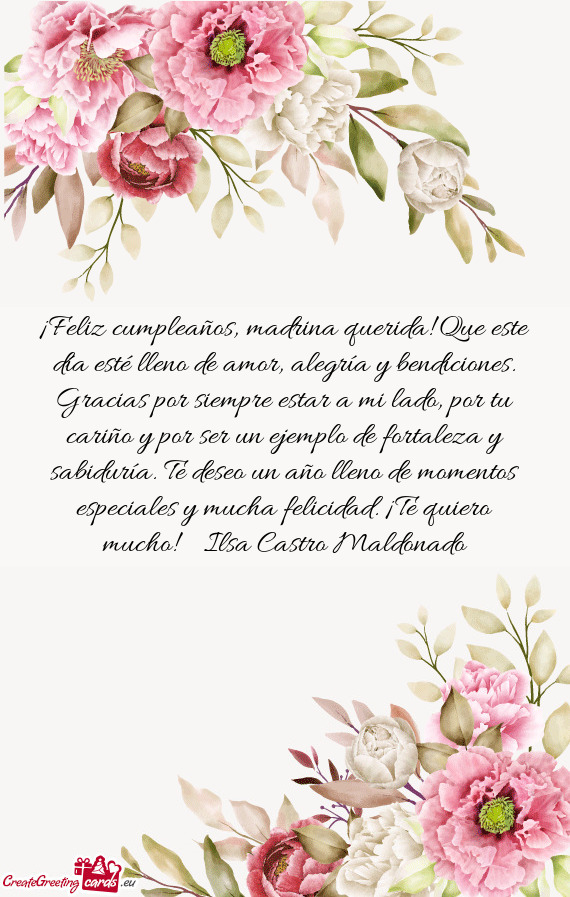 Deseo un año lleno de momentos especiales y mucha felicidad. ¡Te quiero mucho! 🎉🎂 Ilsa Castr