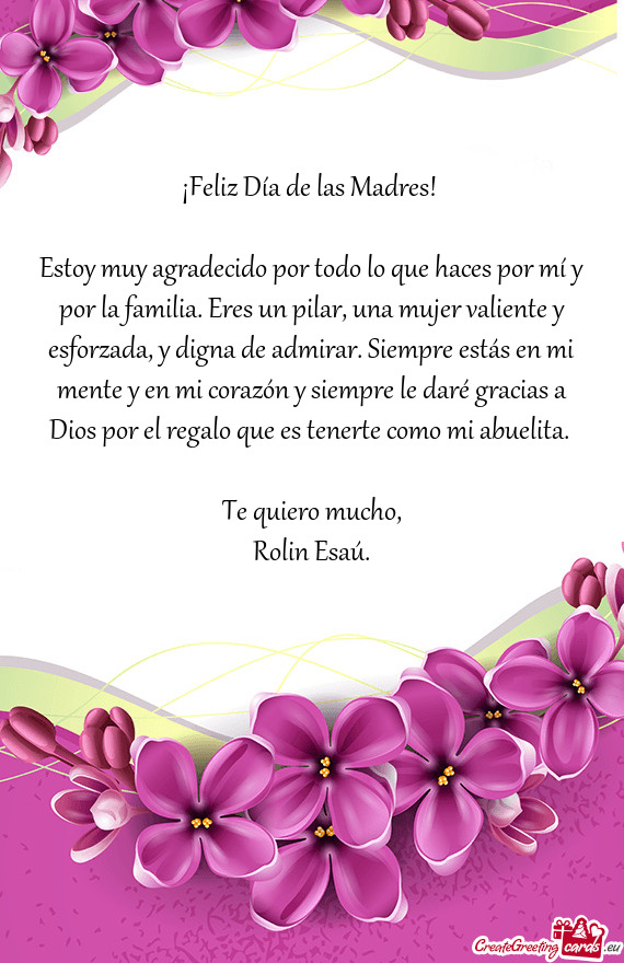 Estoy muy agradecido por todo lo que haces por mí y por la familia. Eres un pilar, una mujer valien
