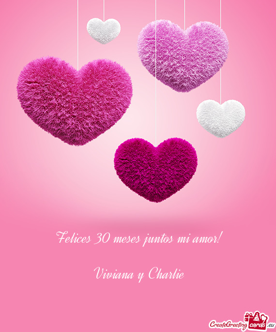 Felices 30 meses juntos mi amor! Viviana y Charlie
