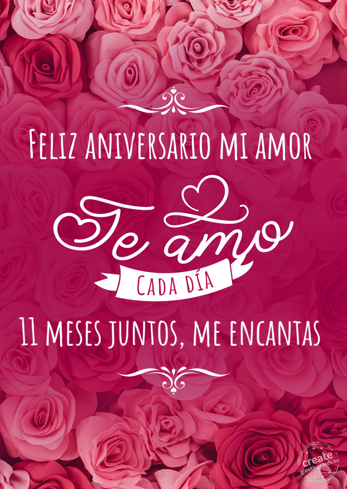 Feliz aniversario mi amor 11 meses juntos, me encantas