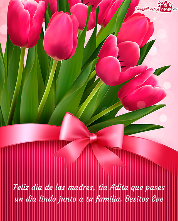 Feliz dia de las madres, tia Adita que pases un dia lindo junto a tu familia. Besitos Eve