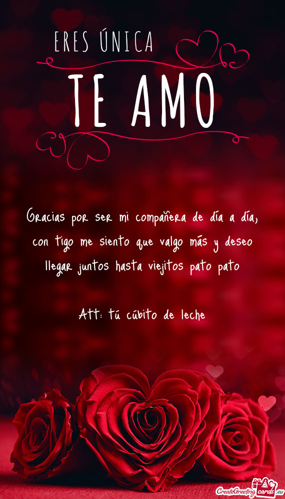 Gracias por ser mi compañera de día a día, con tigo me siento que valgo más y deseo llegar junto