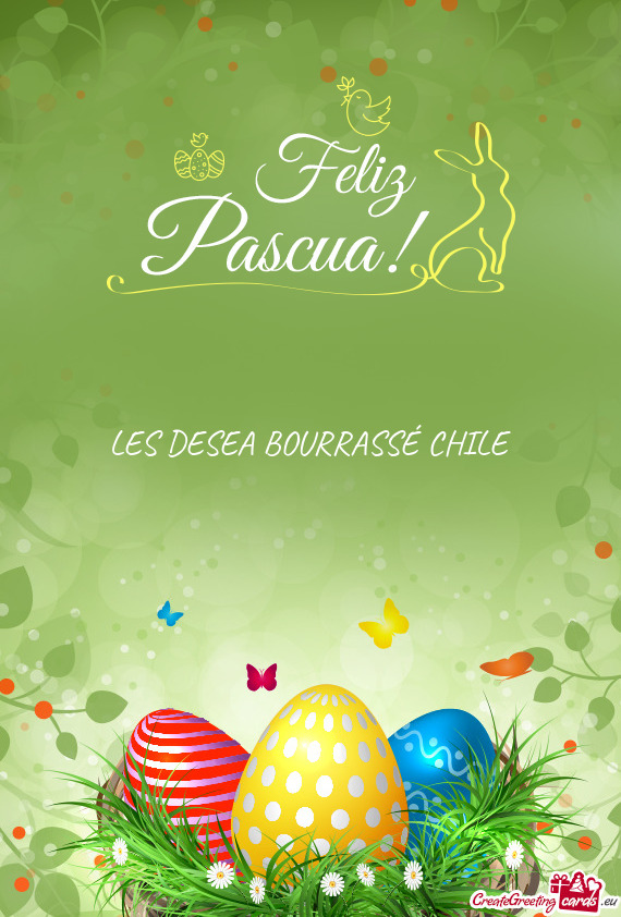 LES DESEA BOURRASSÉ CHILE
