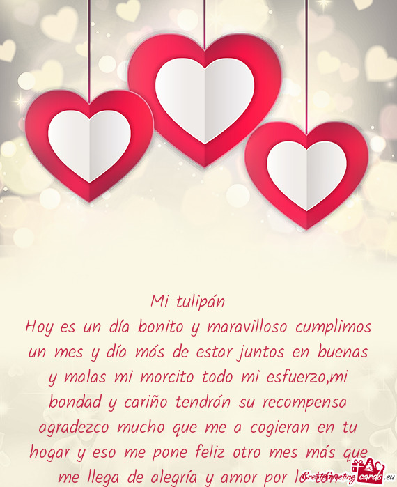 Mi tulipán 😍