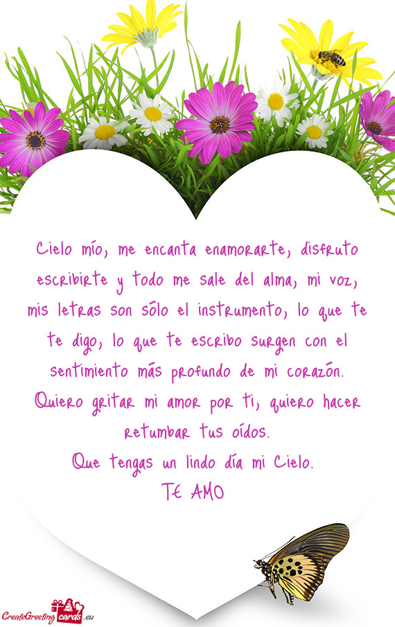 On sólo el instrumento, lo que te te digo, lo que te escribo surgen con el sentimiento más profund