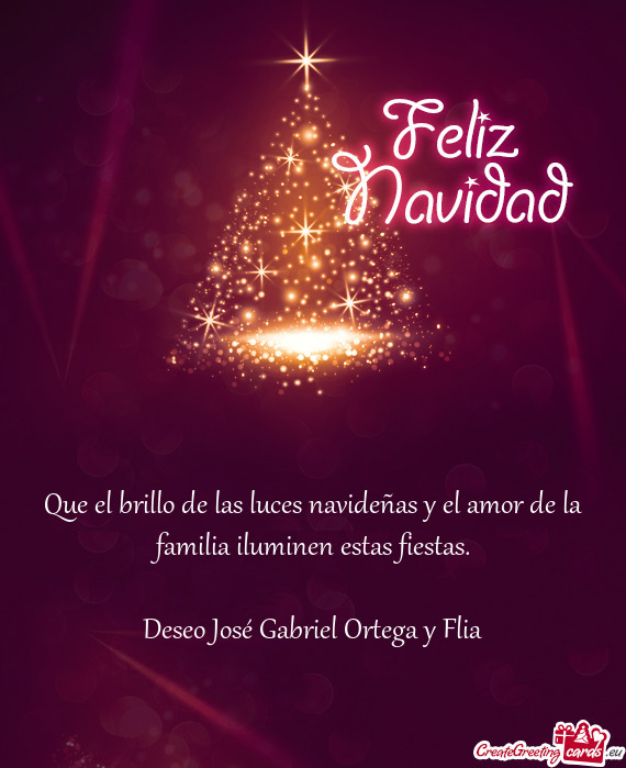 Que el brillo de las luces navideñas y el amor de la familia iluminen estas fiestas