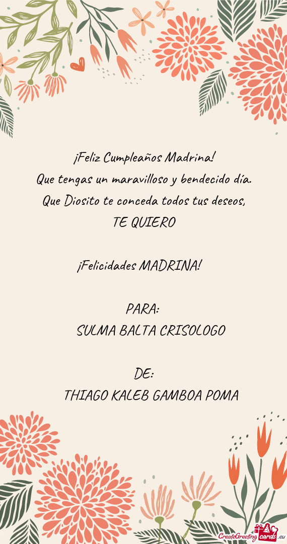 THIAGO KALEB GAMBOA POMA