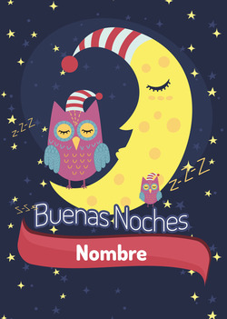 Búho en la luna